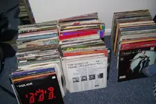 Picture 012.webp