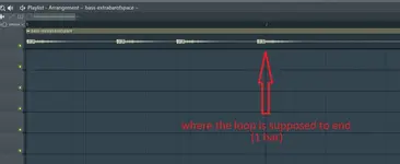 loopimage1.webp