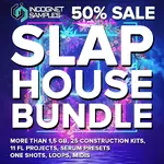 Incognet Samples - Slap House Bundle_Pic_2D.webp