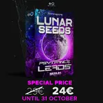 special price gumroad jpg.webp