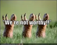 notworthy.webp