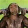 grumo