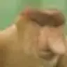 petewrigley