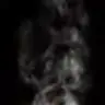 B.U.M.
