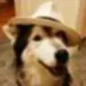 Grumpy Pimp