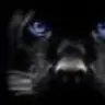 Jpanther