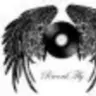 RecordFlyMuzic