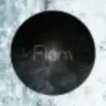 Fløm