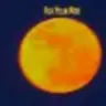 HighYellowMoon