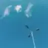 palmspalms