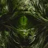 Cannibalhulk