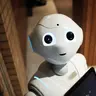 Mr Robot(from the future)