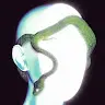 mophead